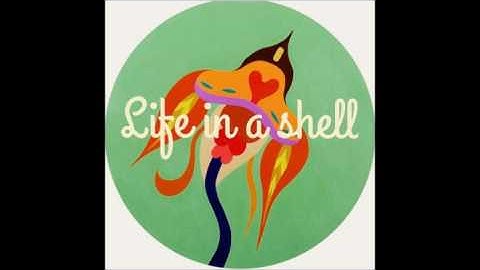 Örchid - Life in a shell