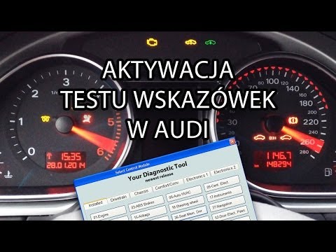 Wideo: 8 produktów dla psów na Twoją kolejną przygodę na świeżym powietrzu