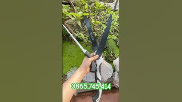 Cưa thân gỗ,cành cây cảnh . Bonsai  xả kho giá rẻ tụt quần 0865.745.414