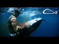 Southern Spearfishing X GIANT Bluefin TUNA