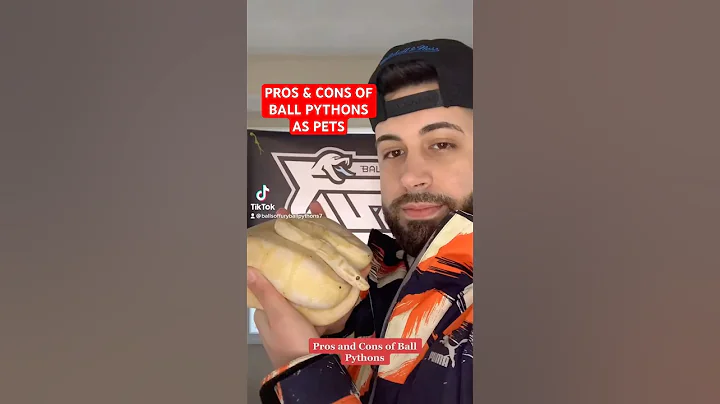 Pros & Cons of Ball Pythons as Pets