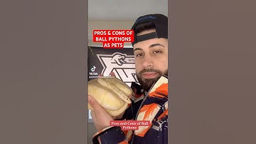 Pros & Cons of Ball Pythons as Pets