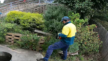 Welcome to the Jungle | Overgrown Garden Pruning & Clean Up | Transformation