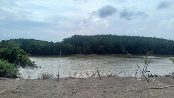 Câu cá úc ở An Thới Đông - Cần Giờ