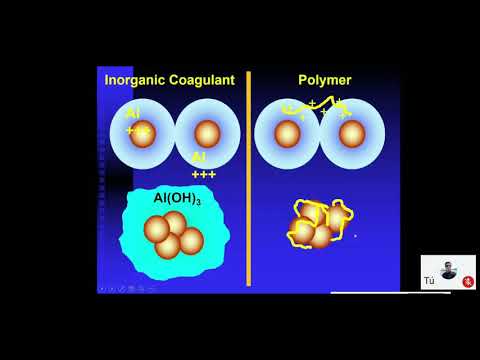 Video: ¿Qué efluente industrial contiene fenol?