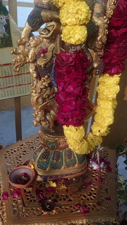 BANCI BAJEIA RAS 🥰🥰🥰RACHIYA PALAN 😍😍HARA MAI TUM HI KAI 🩷🩷BHAIYA