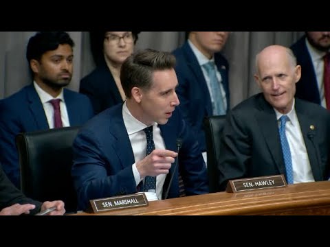 Hawley Bill Cracking Down On McKinsey & Other Consulting Firms' China Ties Passes Committee