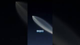 Комическая медуза Илона Маска: что увидели пассажиры самолета