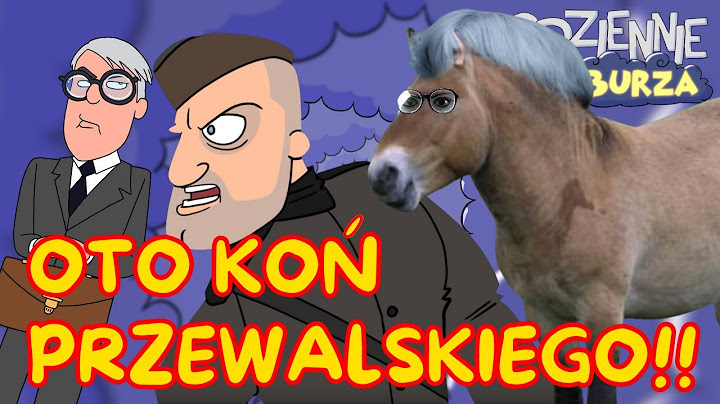 Kamraci i koń! Giertych nowa teoria. Zembaczyński filozof | Codziennie Burza
