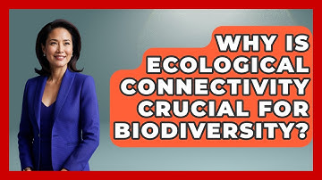 Why Is Ecological Connectivity Crucial For Biodiversity? - Explaining Ecology