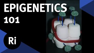 A Quick Introduction to Epigenetics  with Nessa Carey