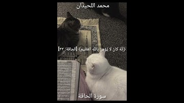 محمد اللحيدان _سورة الحاقة #اكسبلور #محمد_اللحيدان #سورة_الحاقة #دويتو #سبحان_الله #الحمدلله