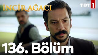 İncir Ağacı 136 Bölüm