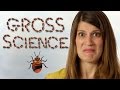 What is gross science