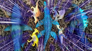 WOW! Mencari Mainan Dino Di Kebun: t-rex🦖/ Brachiosaurus/ Brontosaurus/ KingKong/ Godzilla/ Gorilla
