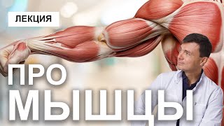 видео: Лекция о мышцах. Это должен знать любой, кто работает с телом! картинка: Лекция о мышцах. Это должен знать любой, кто работает с телом!