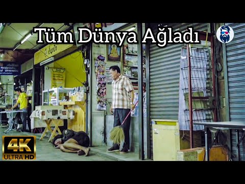 Tüm Dünyayı Ağlatan Duygusal Klip - Göz Yaşlarınızı Tutamayacaksınız.. ( CANISI )