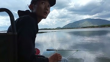 Câu Cá Rô Phi Hồ Gia Măng Ngày Mưa Bão (Part 2)