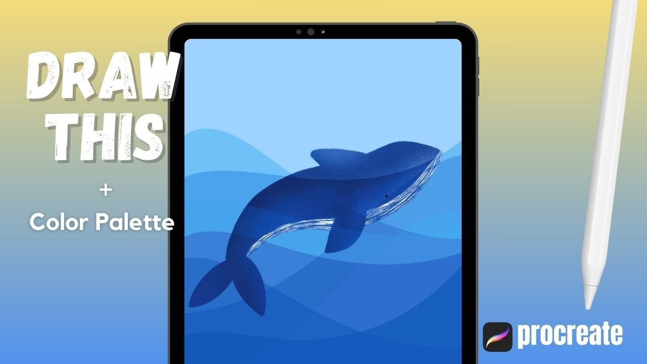 How To Draw A Whale In Procreate Procreate YouTube