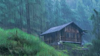 Rain Sounds for Sleeping - Sound of Heavy Rainstorm & Thunder in the Misty Forest At Night