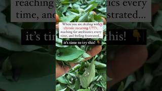 Download Lagu UTI Natural Treatment 🌿👇 MP3