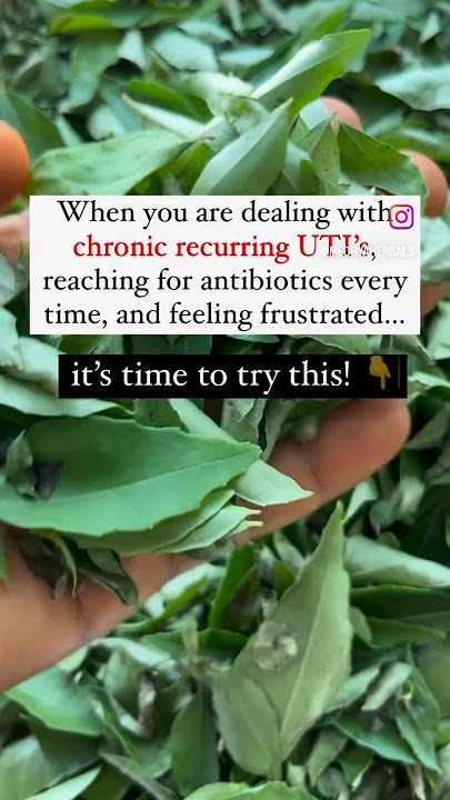 UTI Natural Treatment 🌿👇