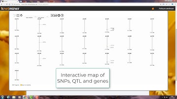 Wheat KnetMiner demo for PAG 2019