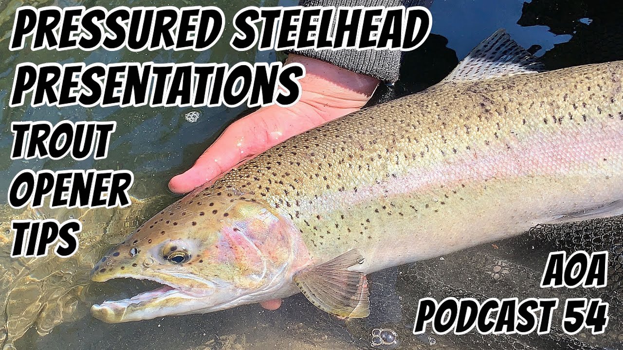 Steelhead Fishing Ontario - Fishing Podcast 