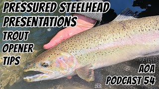 Steelhead Fishing Ontario - Fishing Podcast