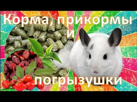 Корма, прикормы(дополнительное питание) и погрызушки, которые Я рекомендую покупать для ШИНШИЛЛ.