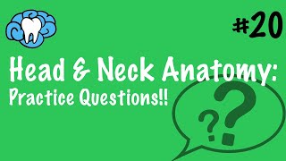 Head & Neck Anatomy | PRACTICE QUESTIONS | INBDE screenshot 3