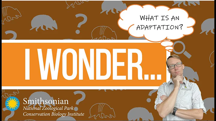 I Wonder - What is an adaptation?