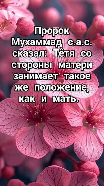 Родственники со стороны мамы всегда роднее. @ElbertSita80 - YouTube