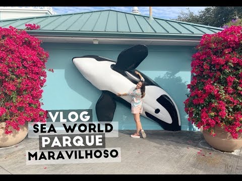 VLOG: Sea World 2019 - Parque maravilhoso!