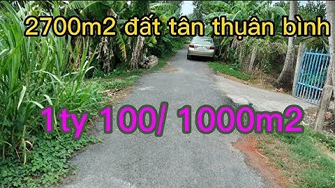 Ms302💗 Bán 2700m2 mặt tiền nhựa 5m tân thụân bình, chợ gạo, Tg. giá 1 ty 100 triệu/ 1000m2