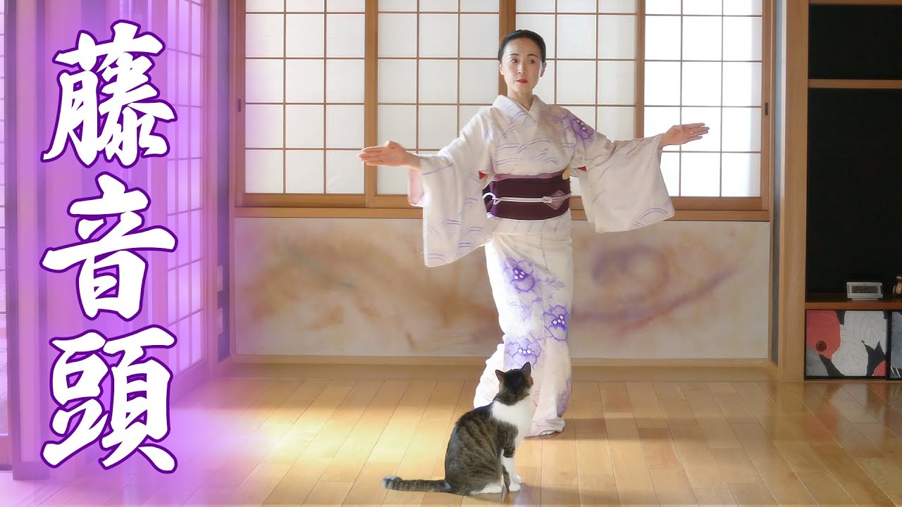 作り帯とセットで！（帯上げ付き）　大衆演劇　日本舞踊　振袖　押切もえプロデュース Nihon Buyo (Japanese Dance) – “Fuji Ondo” (Wisteria Dance
