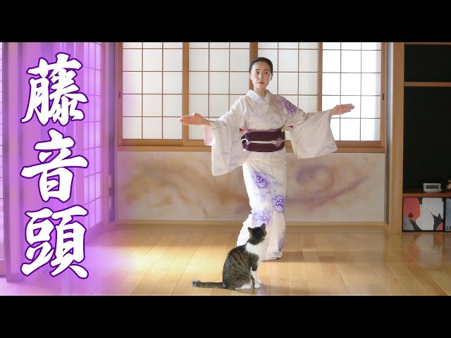 日本舞踊 第１４巻１号～12号 和傘・野点傘専門店 恭雅】 和傘 − 紙傘 1尺4寸 桜渦 ピンク 継柄