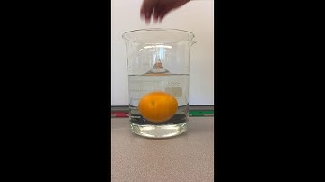 Exploring Density With Oranges, Lemons and Limes