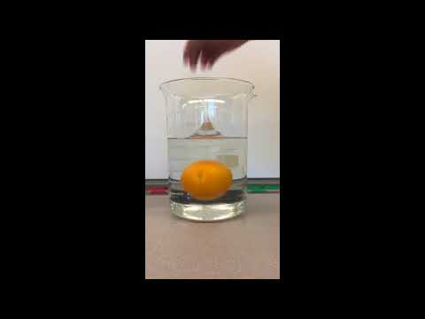 Exploring Density With