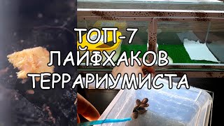 ТОП 7 ЛАЙФХАКОВ ТЕРРАРИУМИСТА