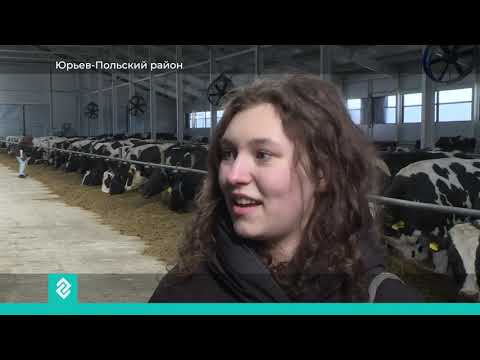 Владимирская область планирует увеличивать объемы переработки молока