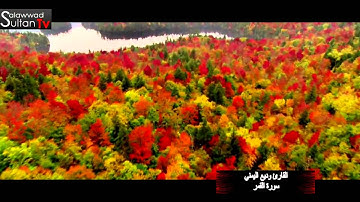 سورة القمر القارئ وديع اليمني I قناة سلطان العواد