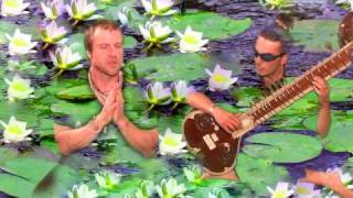 Perfect Lessons - by Shaman Strings