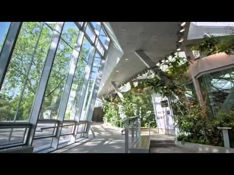 Video: Casa De Los Monos En Stuttgart