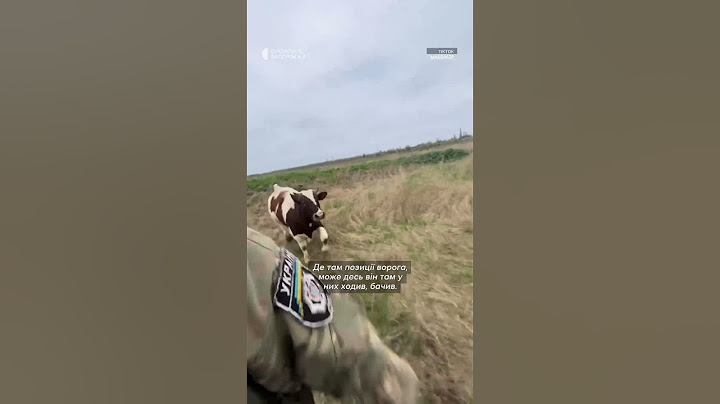 «Він як людина поводить себе»: подолав мінне поле та прибився до позиції військових