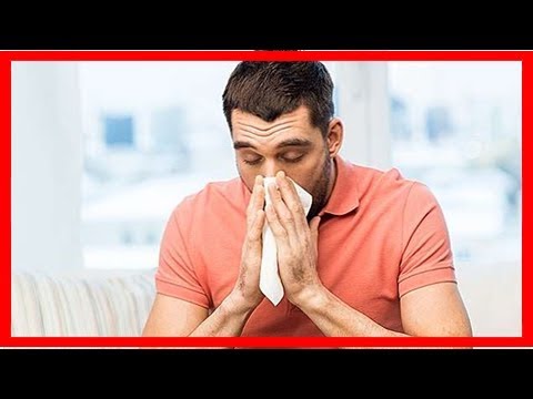 Rhinitis: Was es ist, Hauptsymptome und Behandlung