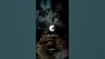 ( واستغفروا الله إن الله غفور رحيم ) القارئ /شريف مصطفى تلاوة تريح القلب ❤️