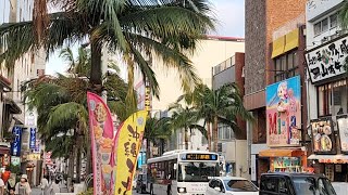 沖縄の国際通りで猫が店長してるお店に行く配信【雑談配信】