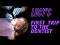 lucy&#39;s first dentist appointment  - Jon and Rachel Walters from 90 day fiancé