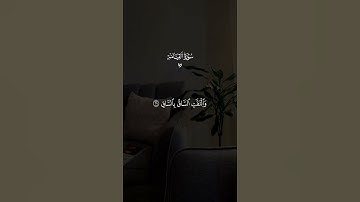 تدبروا الآيات 🤍 #قران #ماهرالمعيقلي #quran